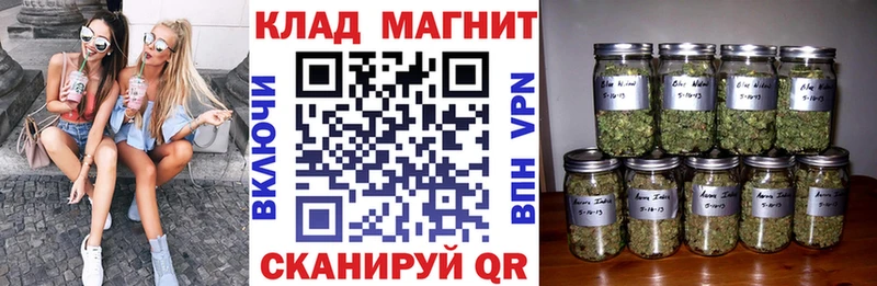 Сколько стоит Рассказово Галлюциногенные грибы  Амфетамин  ГАШ  COCAIN  Alpha-PVP  Каннабис 