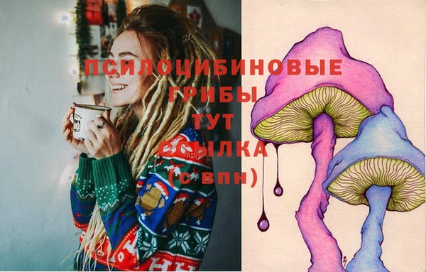 круглые Новодвинск
